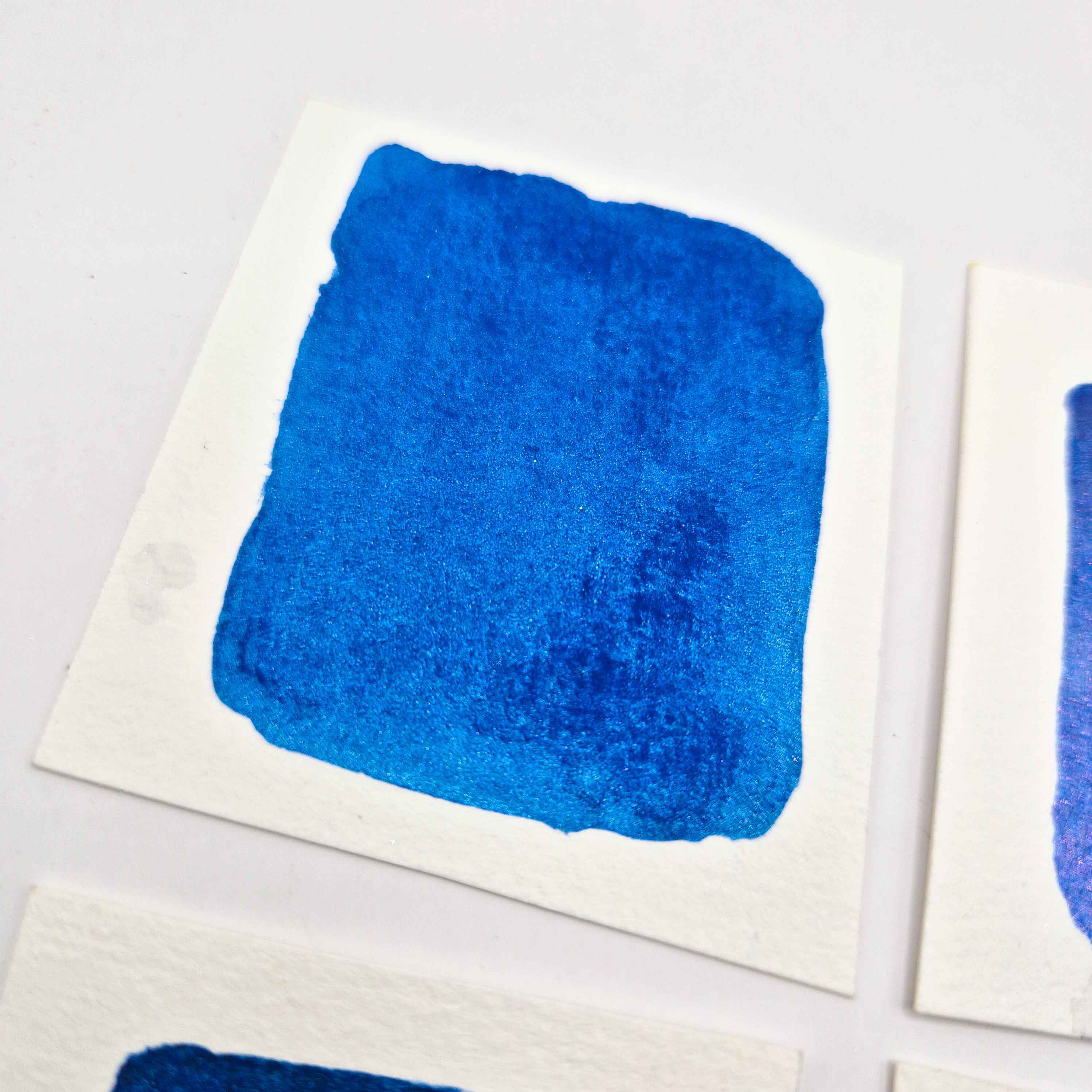 LES FLEURS BLEUES - Aquarelles artisanales