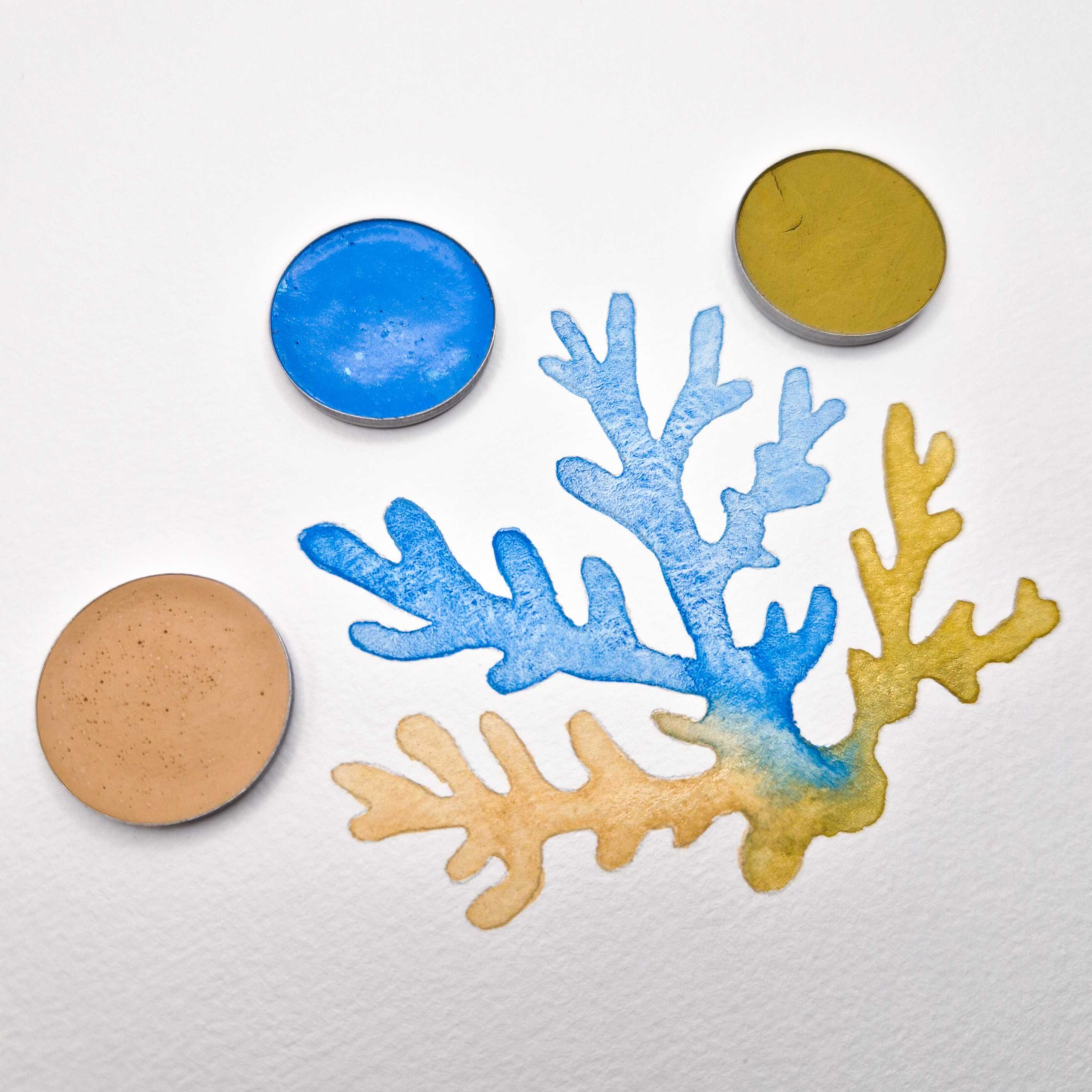 Aquarelles Artisanales - Eaux claires